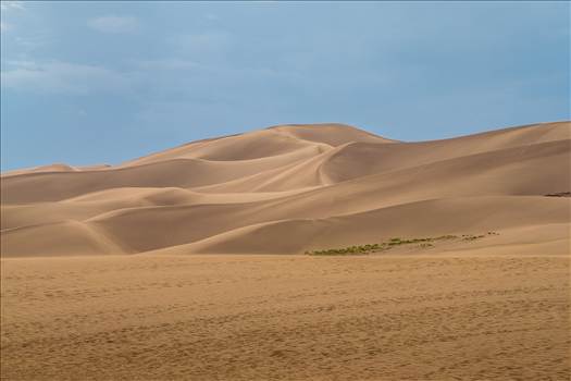 Great Sand Dunes 11 - 