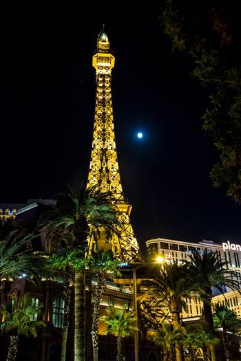 Eiffel Tower by Scott Smith Photos