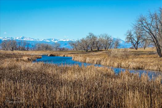Rocky Mountain Arsenal Wildlife Refuge View by Scott Smith Photos