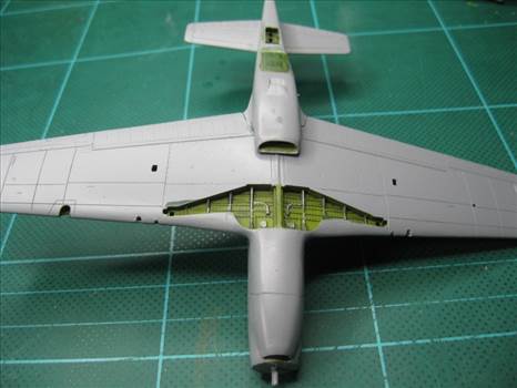 fuselage buttoned up 2.jpg - 