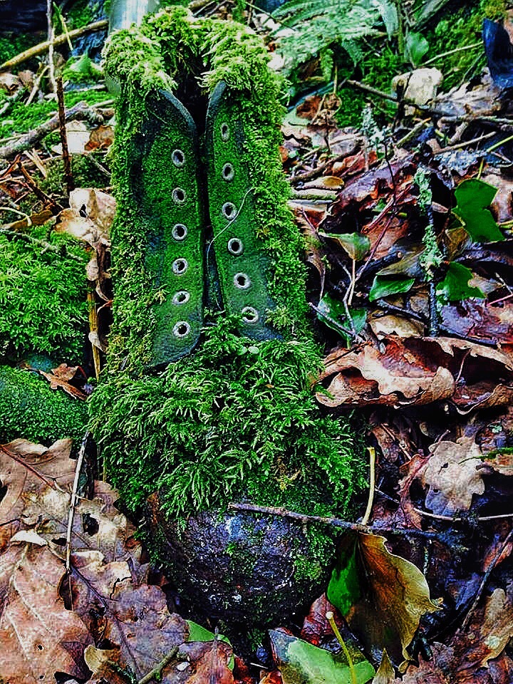 image.jpg  by WPC-254