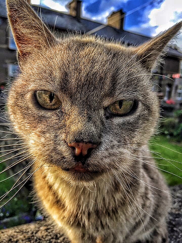 image.jpg  by WPC-254