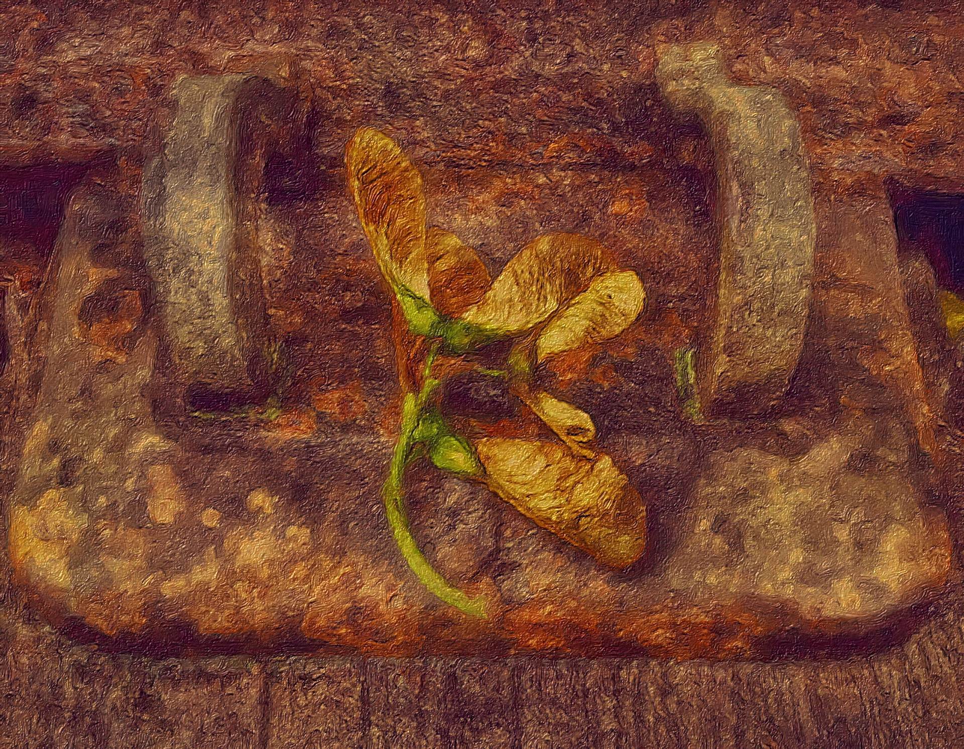 image.jpg undefined by WPC-254