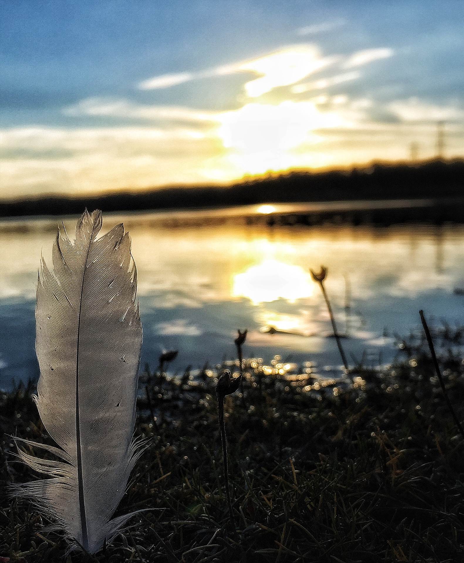 image.jpg  by WPC-254