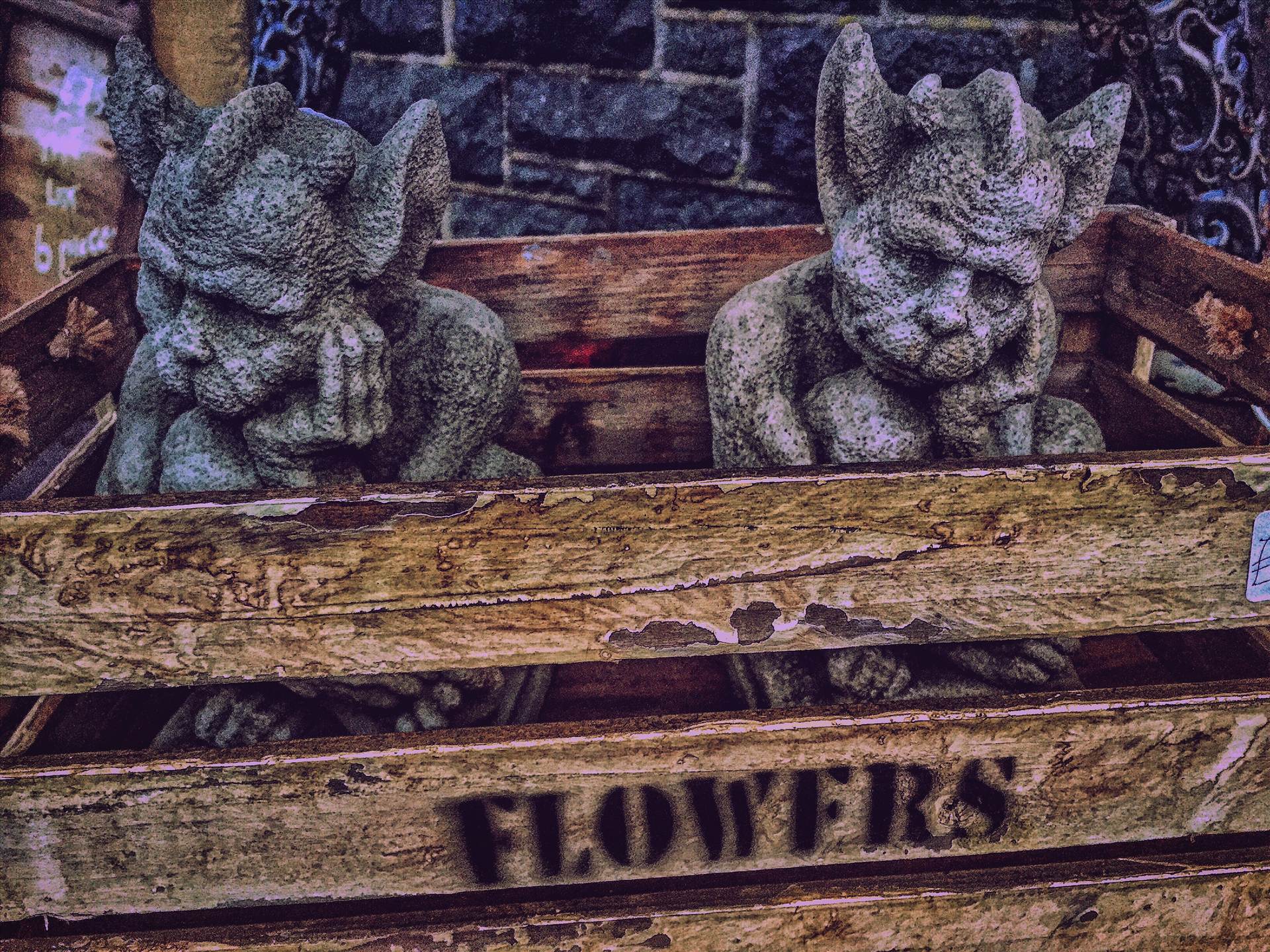 image.jpg undefined by WPC-254