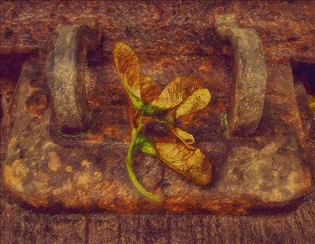 image.jpg - undefined