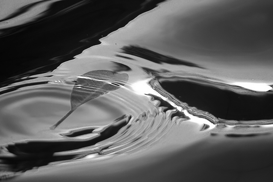 IMG_8847.jpg undefined by WPC-339