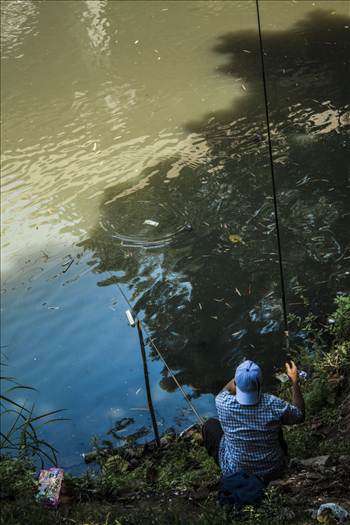 _MG_1208.jpg - undefined