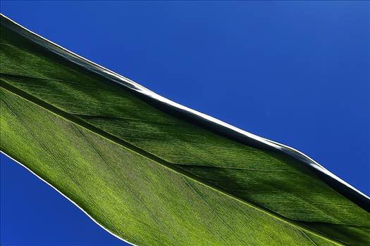 Untitled-exp.JPG - undefined