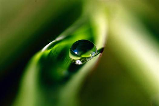 _MG_3162.JPG - undefined