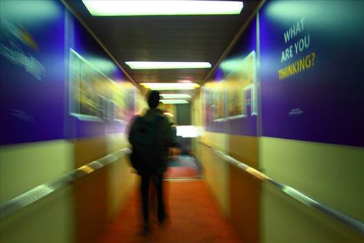 _MG_4595.jpg - undefined