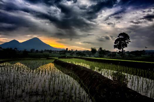 IMG_2100.jpg - undefined