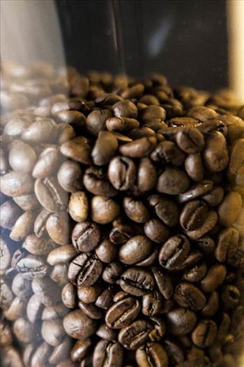 _MG_3783.jpg - undefined