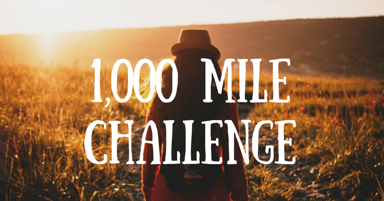 1000 mile.png  by abrowncssi