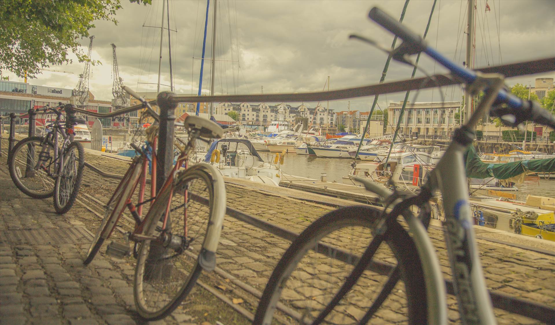 Bicycles at Harbourside.jpg  by WPC-187