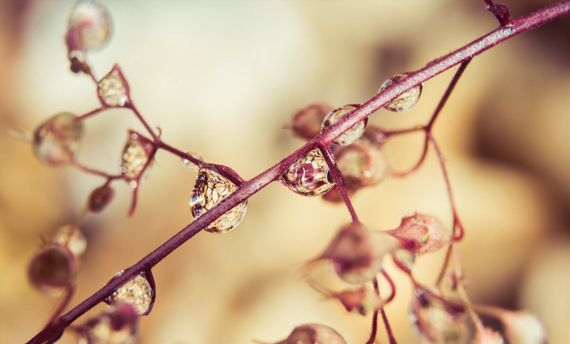 Droplets pebbles.jpg  by WPC-187