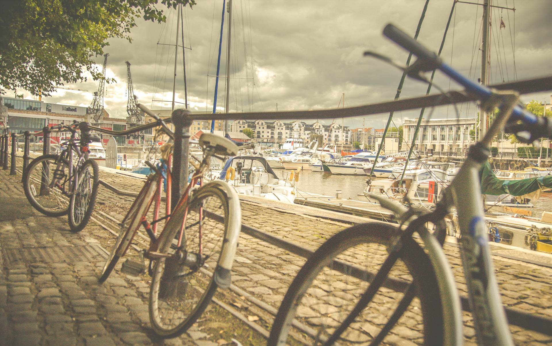 Bicycles at Harbourside 3.jpg  by WPC-187