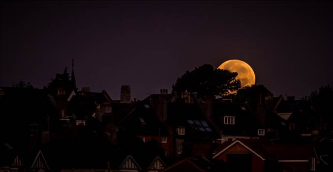 Moon setting.jpg - undefined