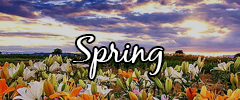 weather-spring-small.jpg  by shoresofelysium