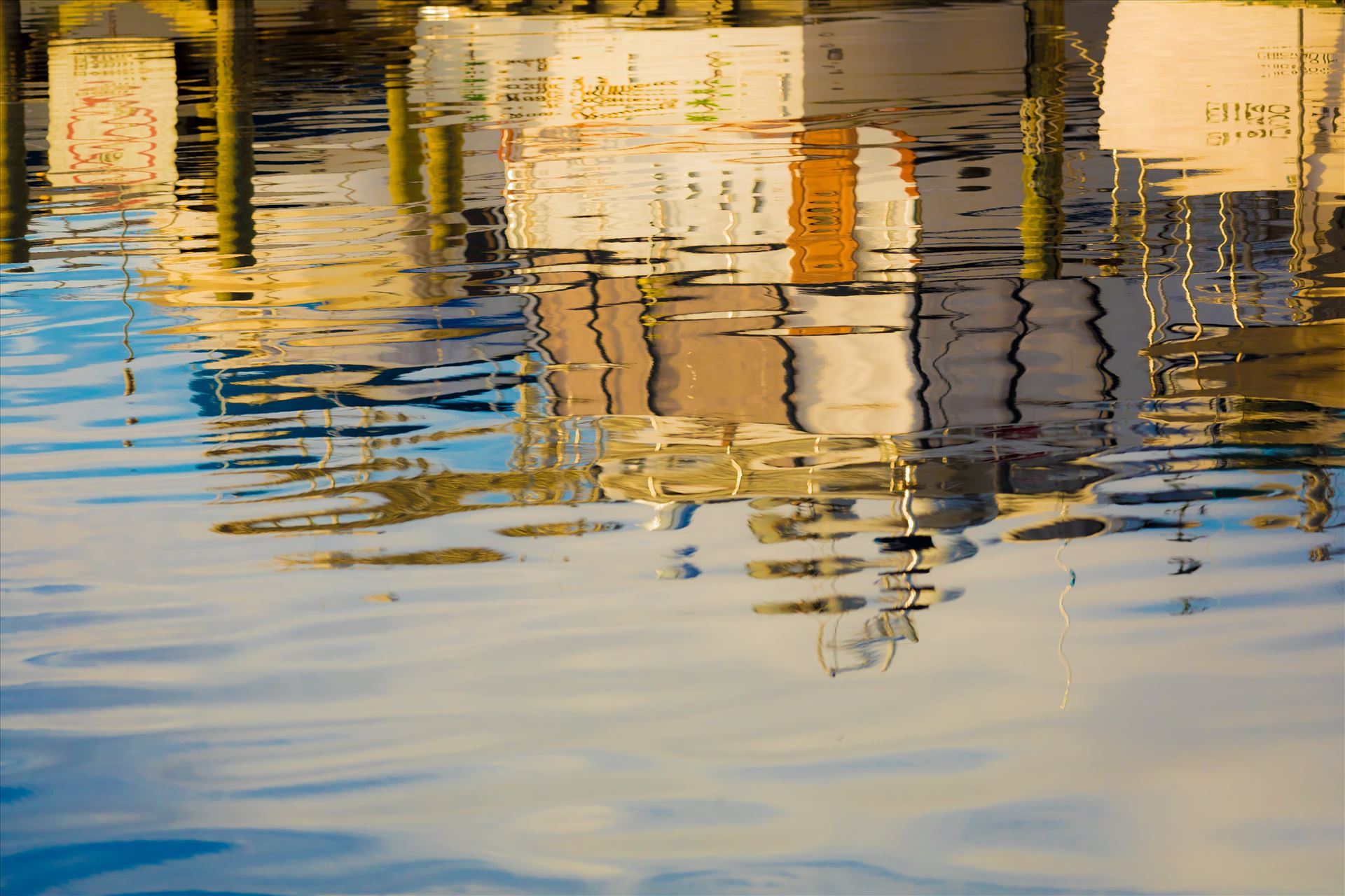 Reflections-7.jpg  by Cat Cornish Photography