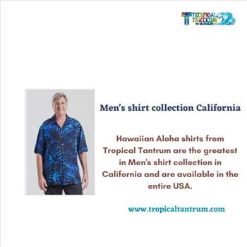 Men's shirt collection California by tropicaltantrum