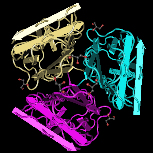 Taq DNA Polymerase.png Taq DNA Polymerase, derived from Thermus aquaticus, is pivotal in PCR. Its resilience to high temperatures enables repeated heating cycles in the process. This enzyme accurately synthesizes DNA strands by incorporating nucleotides onto a template, facilit by Unibiotech