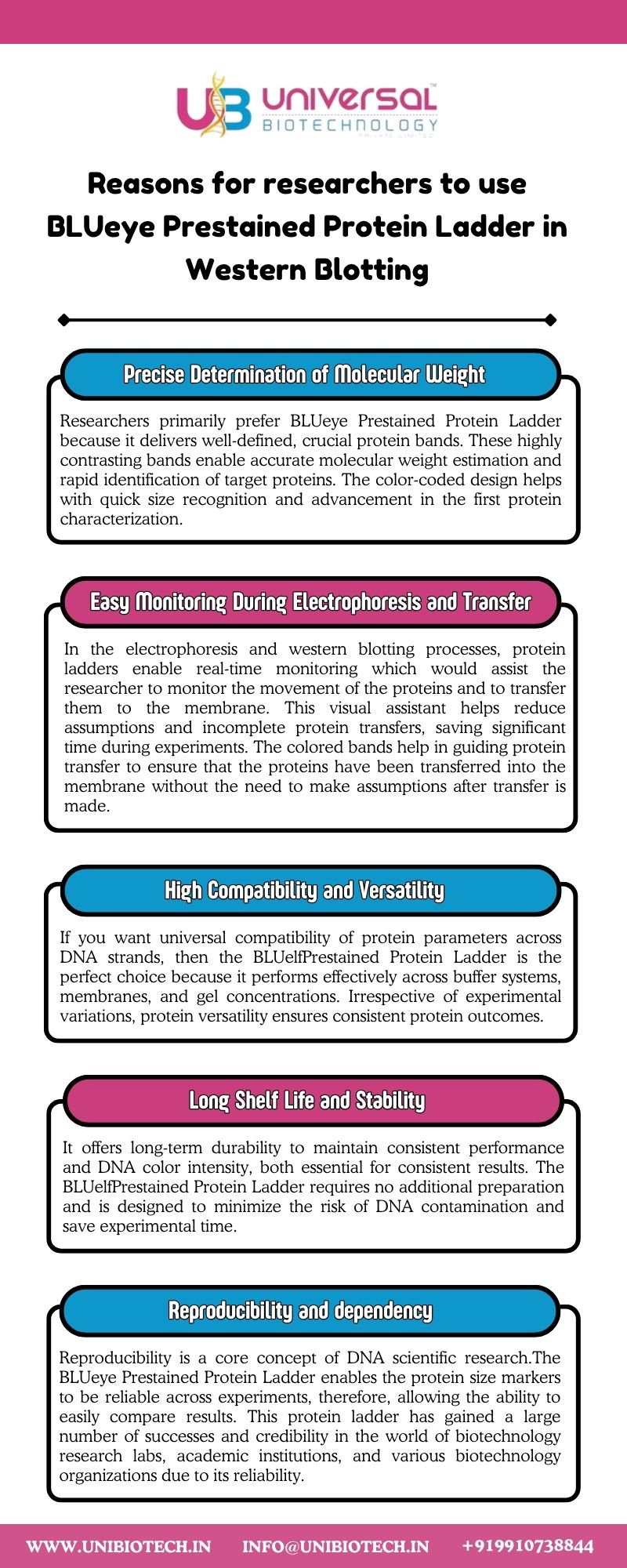Reasons for researchers to use BLUeye Prestained Protein Ladder in Western Blotting.jpg Read about Reasons for researchers to use BLUeye Prestained Protein Ladder in Western Blotting in the given infographic and get more information at: https://www.unibiotech.in. by Unibiotech