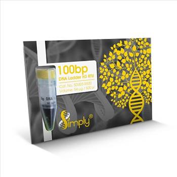 100bp DNA Ladder H3 RTU (Ready-to-Use).jpeg by Unibiotech