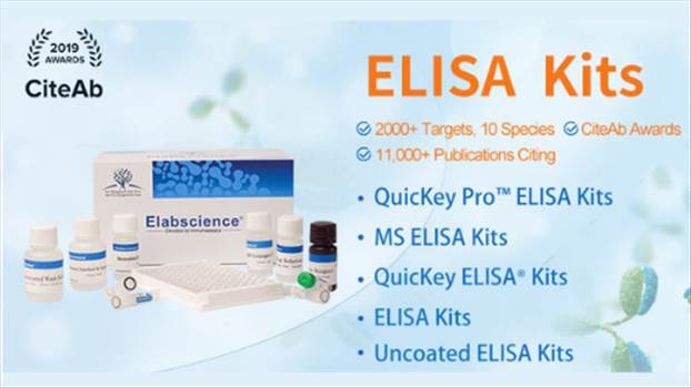 High-quality optimized LabReCon ELISA kits allow you to measure target-specific proteins with confidence, reliability, and consistency. Universal Biotechnoilogy ranks 1st among the best ELISA kit providers in India.