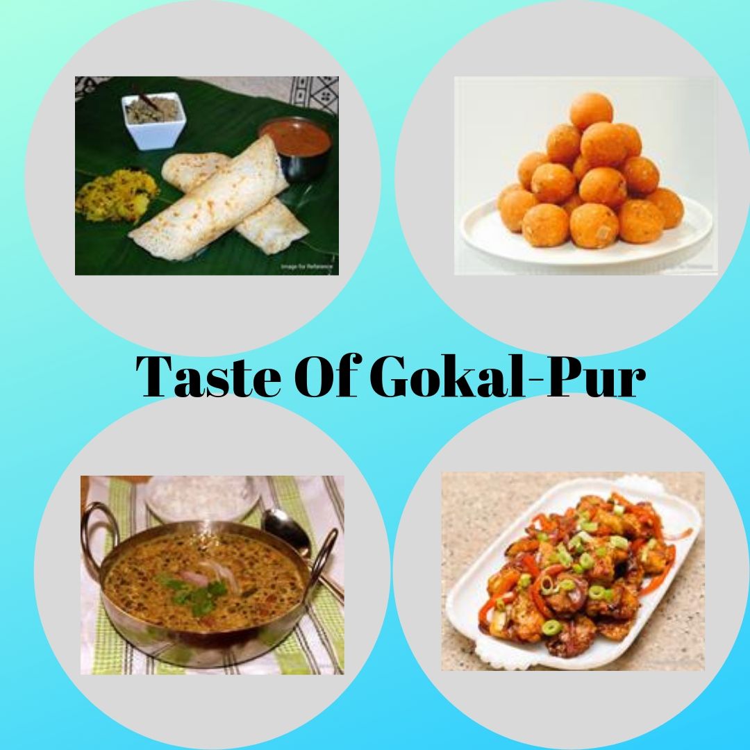 Famous foods of Gokal Pur Are you looking for information about the famous foods of Gokal Pur, Delhi? Then visit taste of city which gives you information about the popular dishes in Gokul Pur.   by tasteofcity