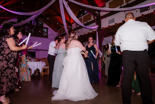 Reception and Party-4316.jpg by Mr and Mr Wayson