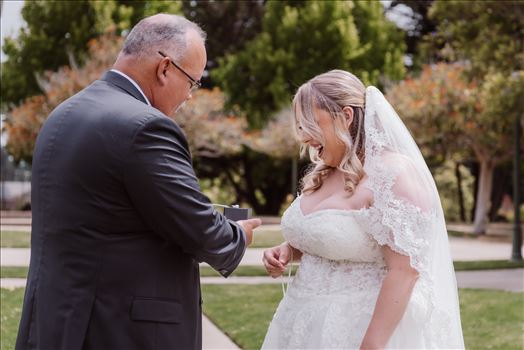 First Look-3154.jpg by Mr and Mr Wayson