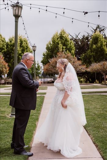 First Look-3148.jpg by Mr and Mr Wayson