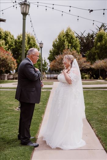 First Look-3150.jpg by Mr and Mr Wayson