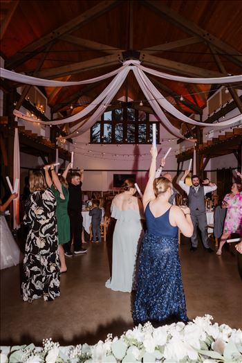 Reception and Party-4211.jpg by Mr and Mr Wayson