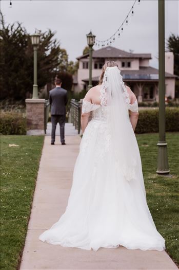 First Look-1807.jpg by Mr and Mr Wayson