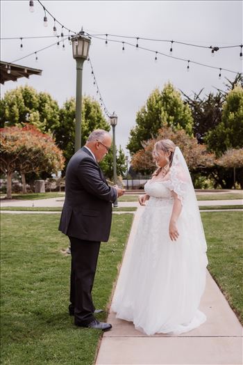 First Look-3153.jpg by Mr and Mr Wayson