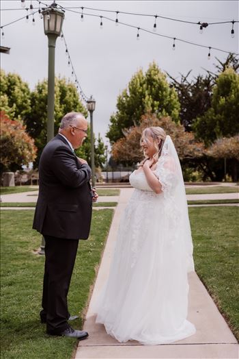 First Look-3151.jpg by Mr and Mr Wayson