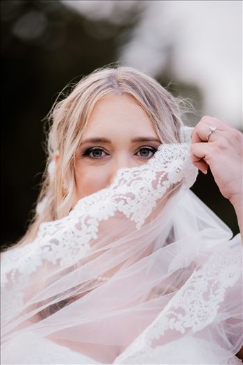 Bride and Groom-2557.jpg by Mr and Mr Wayson