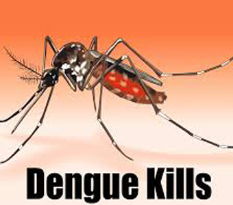 Drugs-of-Dengue.jpg  by alwayspharma111