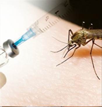 Dengue-Vaccines.jpg by alwayspharma111