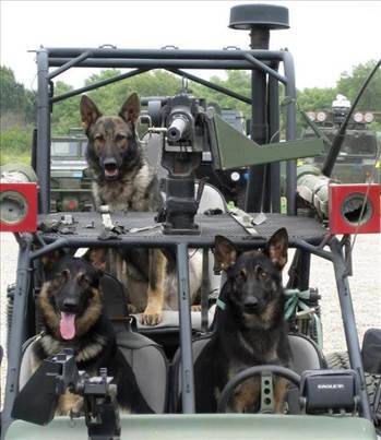 dog-army-car-gunner-squad-1396614265k.jpg by LordDUnivers
