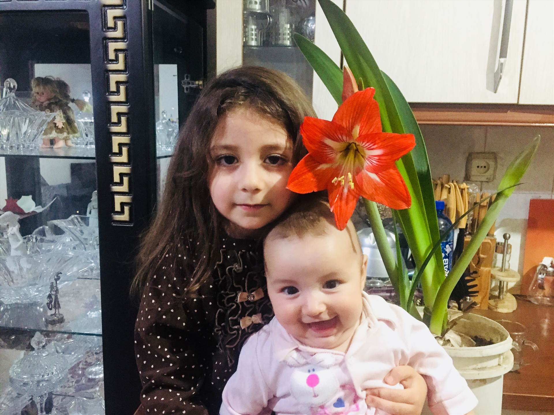 IMG_E2664.JPG mohamad masoudi / mohamad / محمد مسعودی / محمد / Maleka masoudi / ملکا مسعودی/ ملکا / مسعودی / Maleka / Masoudi / nazlimahla / by mbmasoudi