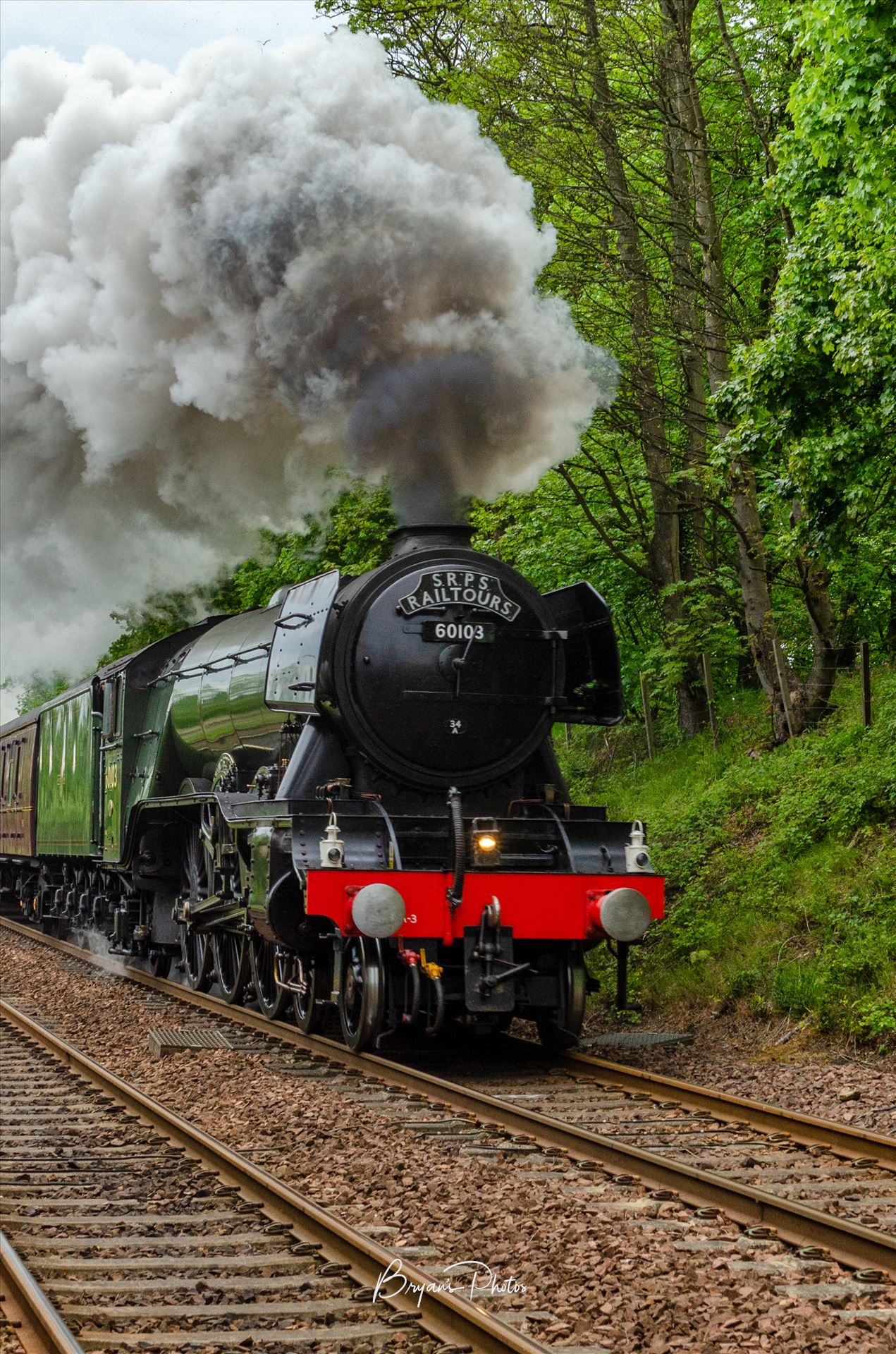 Flying Scotsman Portrait A portrait photograph of the Flying Scotsman taken as it approaches Dalgety Bay during a trip round the Fife circle. by Bryans Photos