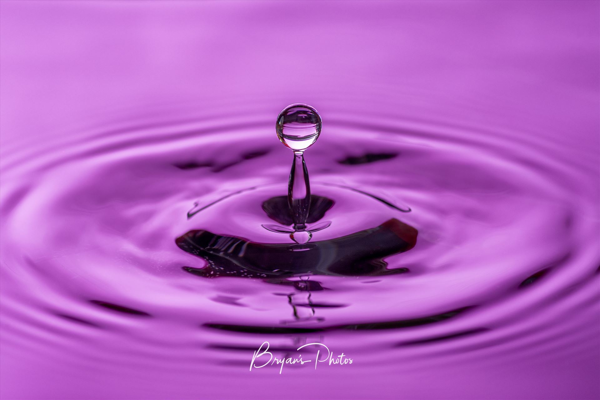 Purple Splash Wall art of a water drop. by Bryans Photos