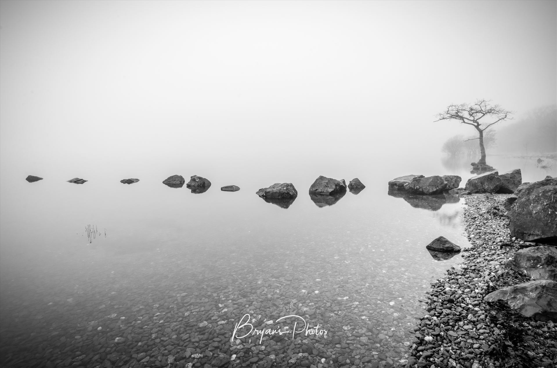 Loch Lomond In The Mist A black and white photograph of Milarrochy Bay Loch Lomond. by Bryans Photos