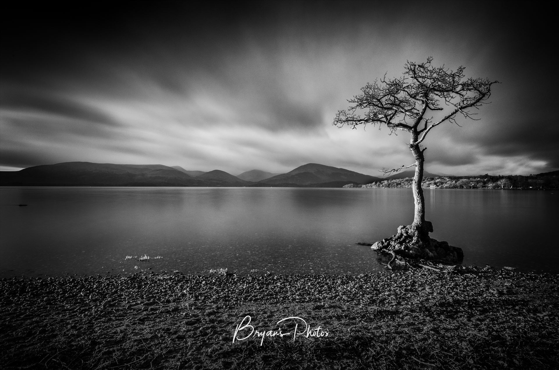 Milarrochy A black & white photograph of Loch Lomond taken from Milarrochy Bay on the eastern shore of the loch near Balmaha. by Bryans Photos