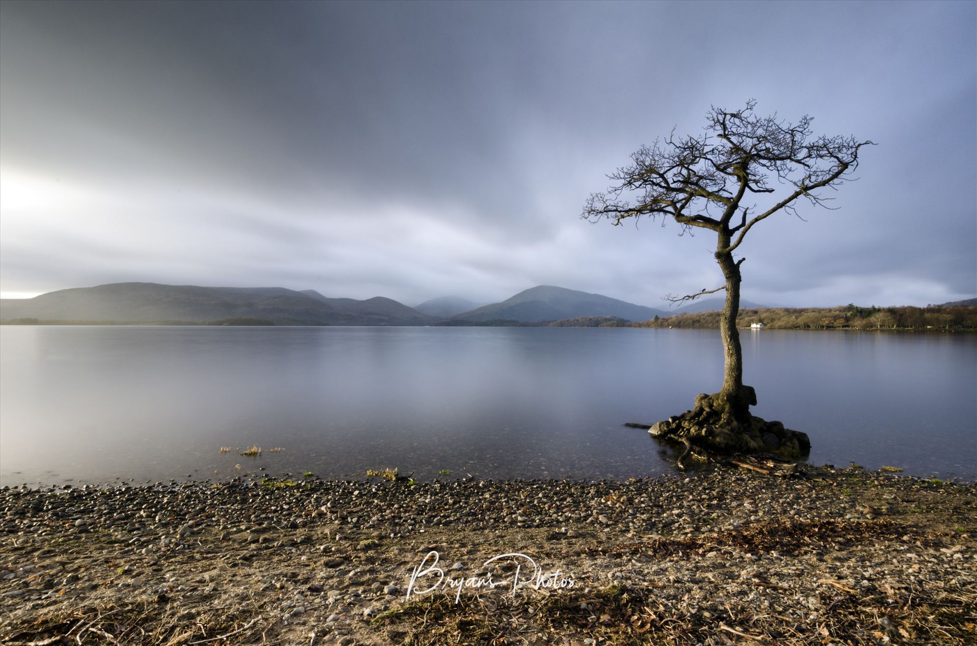 Milarrochy Bay A colour photograph of Loch Lomond taken from Milarrochy Bay on the eastern shore of the loch near Balmaha. by Bryans Photos