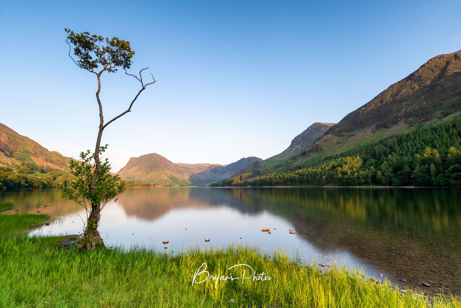 Loan Tree at Buttermere A photograph of the loan tree at Buttermere Lake in the Lake District. by Bryans Photos