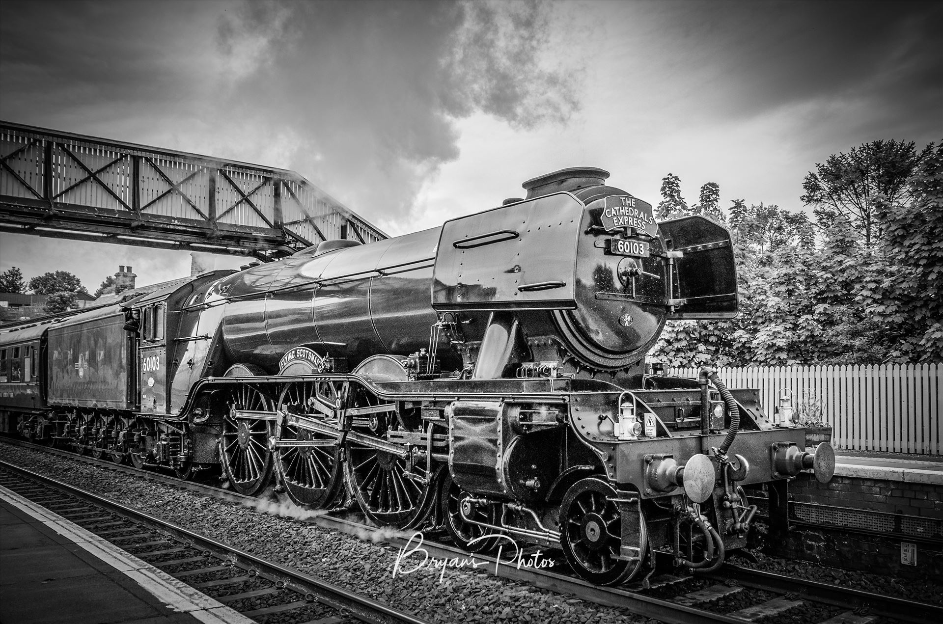 The Scotsman A black and white photograph of the Flying Scotsman passing through North Queens ferry as it heads back to Edinburgh via the Forth Rail Bridge. by Bryans Photos